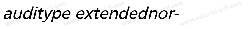 auditype extendednor字体转换